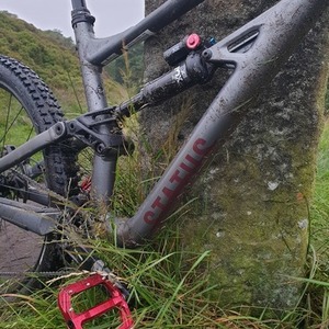 2020 Specialized Status Silver, gray or bare metal