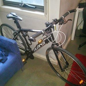 Avanti Blade Black