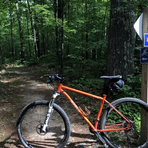 2015 Salsa El Mariachi Orange
