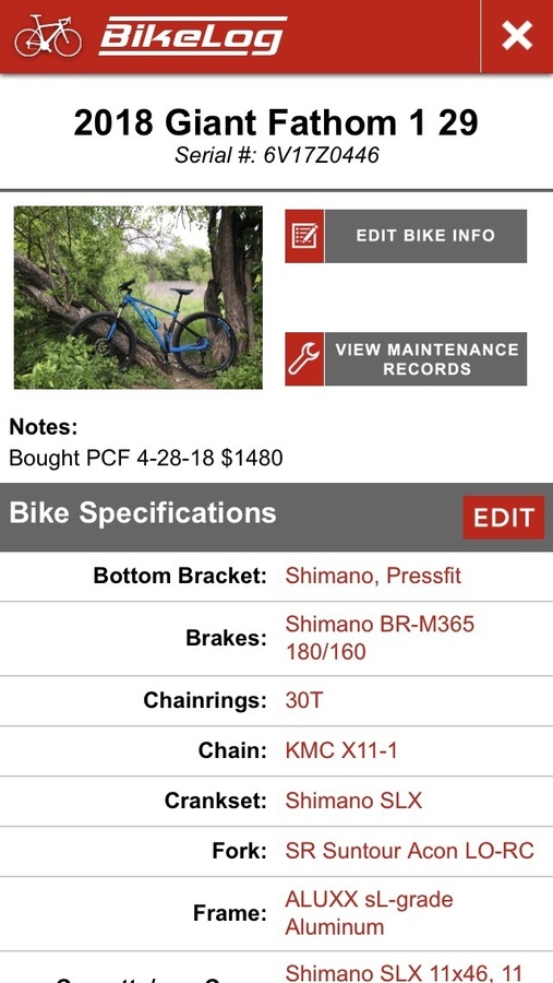 womens bike with big seat