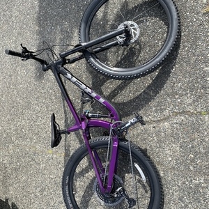2020 Trek Fuel ex 7 Purple