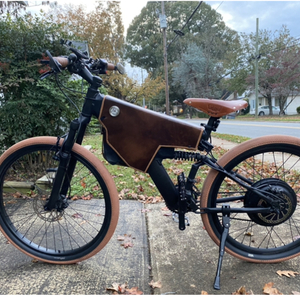 2000 Raleigh Mountain Custom Black and Brown
