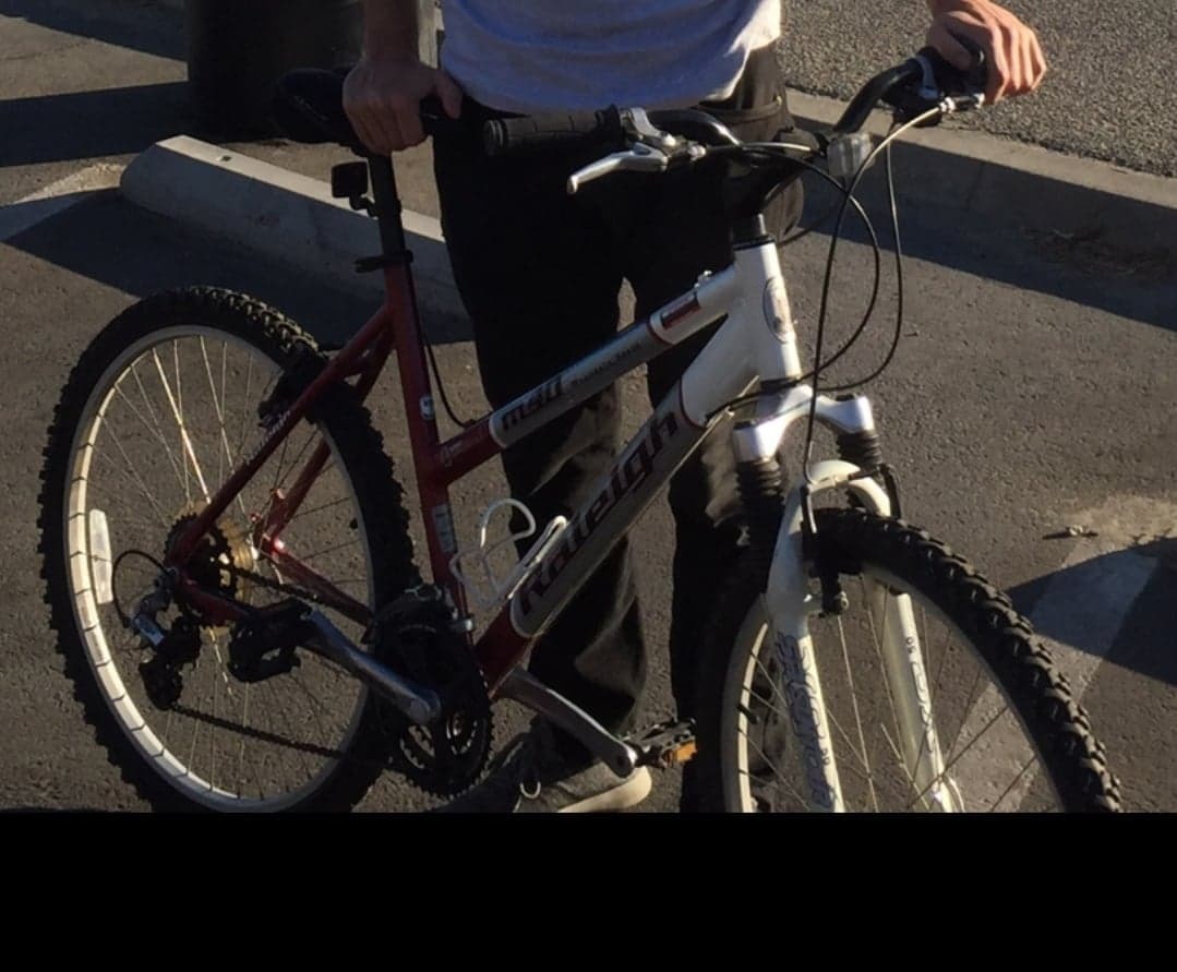 raleigh m40 mountain bike specs