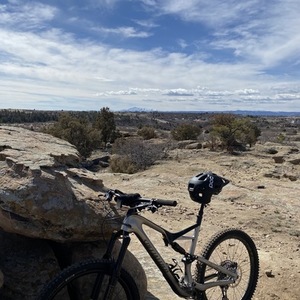 2015 Specialized FSR Silver, gray or bare metal
