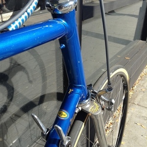 1983 Faggin Campione del mundo Blue