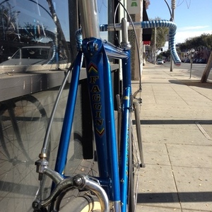 1983 Faggin Campione del mundo Blue