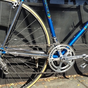 1983 Faggin Campione del mundo Blue