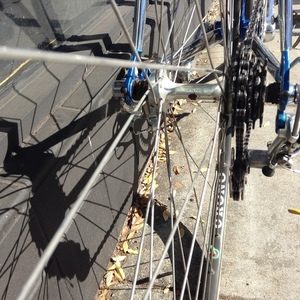 1983 Faggin Campione del mundo Blue