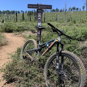 2016 Santa Cruz Tallboy CC Silver, gray or bare metal and Orange