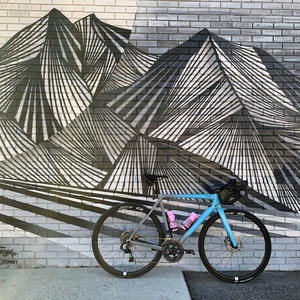 2018 Allied Cycle Works Alfa Allroad Silver, gray or bare metal and Blue