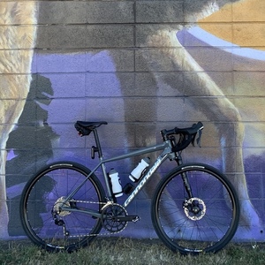 2017 Cannondale Slate Silver, gray or bare metal and Orange
