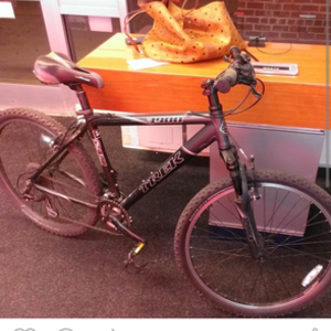 Trek 3900 Silver or Gray