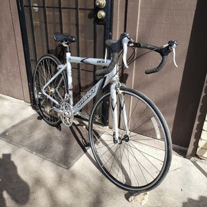 2003 Giant OCR3 Silver, gray or bare metal