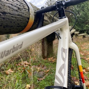 2020 Salsa Warbird White