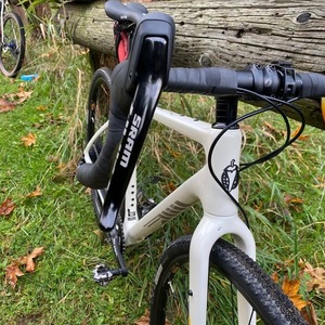 2020 Salsa Warbird White