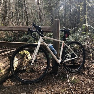 2020 Salsa Warbird White