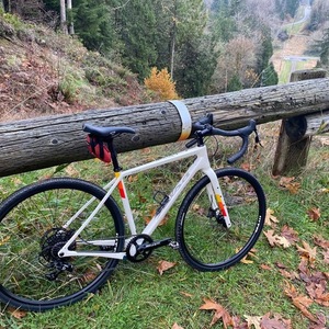 2020 Salsa Warbird White