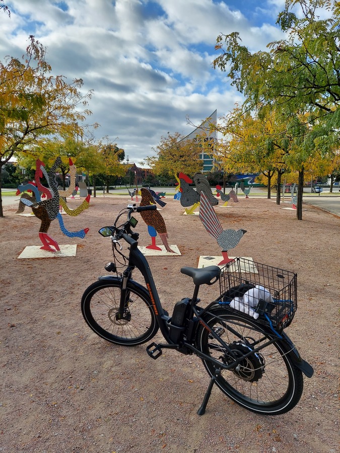 Bike photo