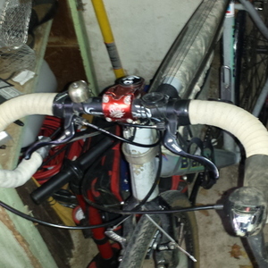 2007 Bianchi Axis Silver or Gray