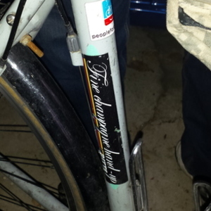 2007 Bianchi Axis Silver or Gray