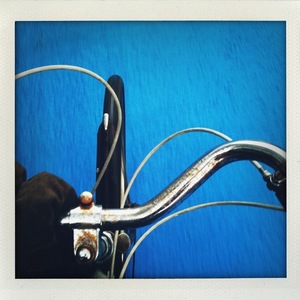 Ross Not Known Black