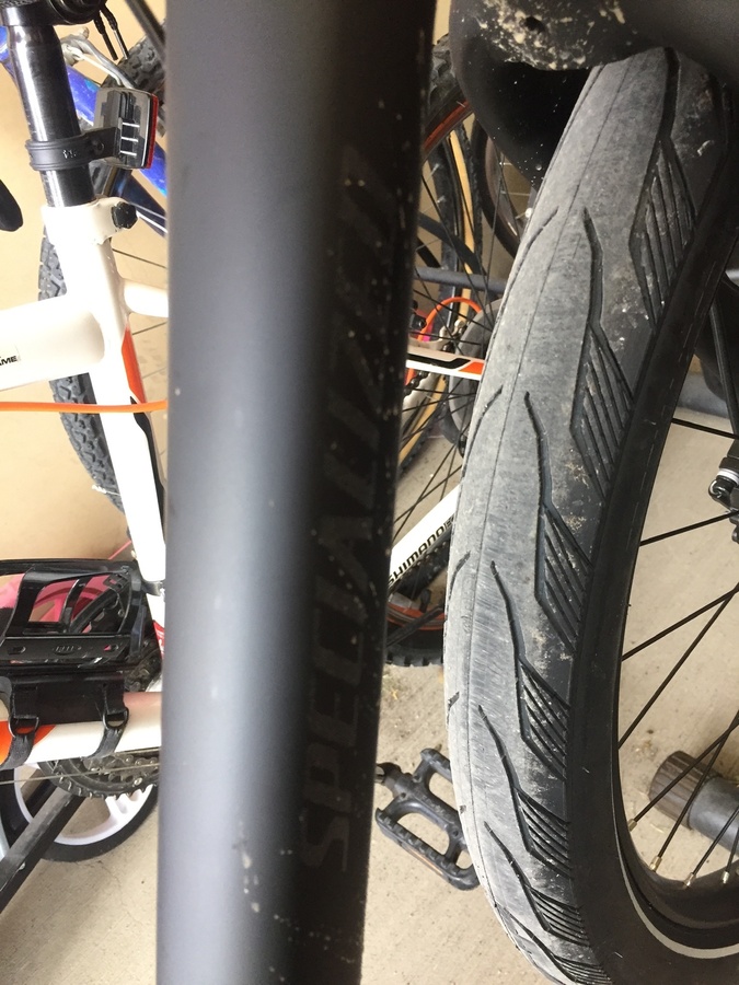 2019 Specialized Roll Elite