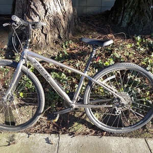2019 Trek Silver, gray or bare metal