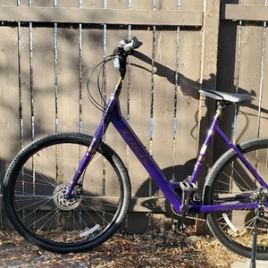 2021 Trek Disc Lowstep (Large Frame) Purple