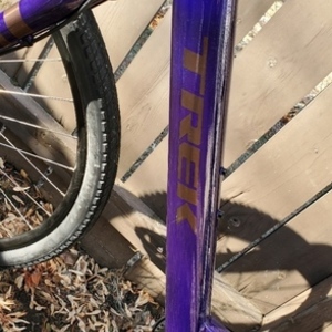 2021 Trek Disc Lowstep (Large Frame) Purple
