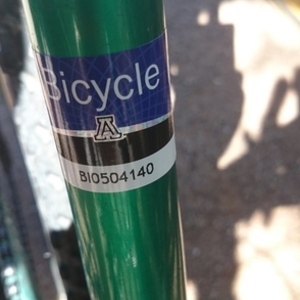 Diamondback Response Green