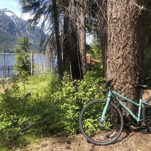 2020 REI Teal