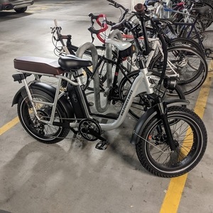 2021 Rad Power Bikes Radrunner Plus Silver, gray or bare metal