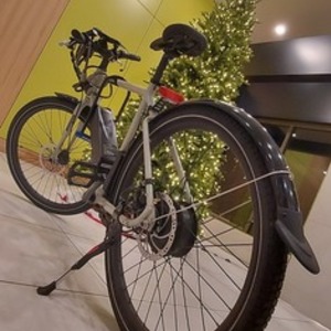 Rad Power Bikes High step Silver, gray or bare metal