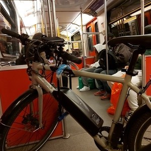 Rad Power Bikes High step Silver, gray or bare metal