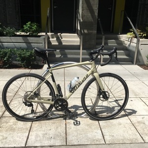 2019 Specialized Diverge E5 Comp Yellow or Gold and Black