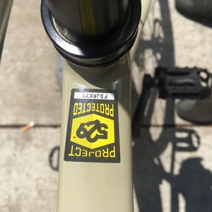 2019 Specialized Diverge E5 Comp Yellow or Gold and Black