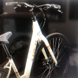 2020 Trek Verve1 White