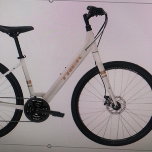 2020 Trek Verve1 White