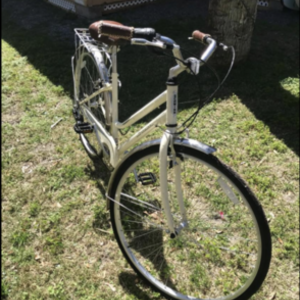 Schwinn White