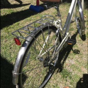 Schwinn White