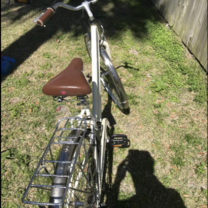 Schwinn White