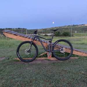 2020 Giant Trance 2 Black and Green