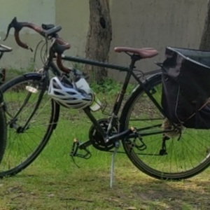 2017 Fuji Touring Green