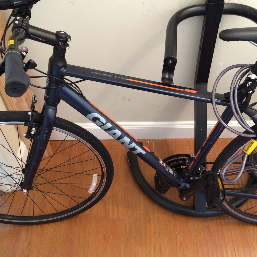 giant escape sport