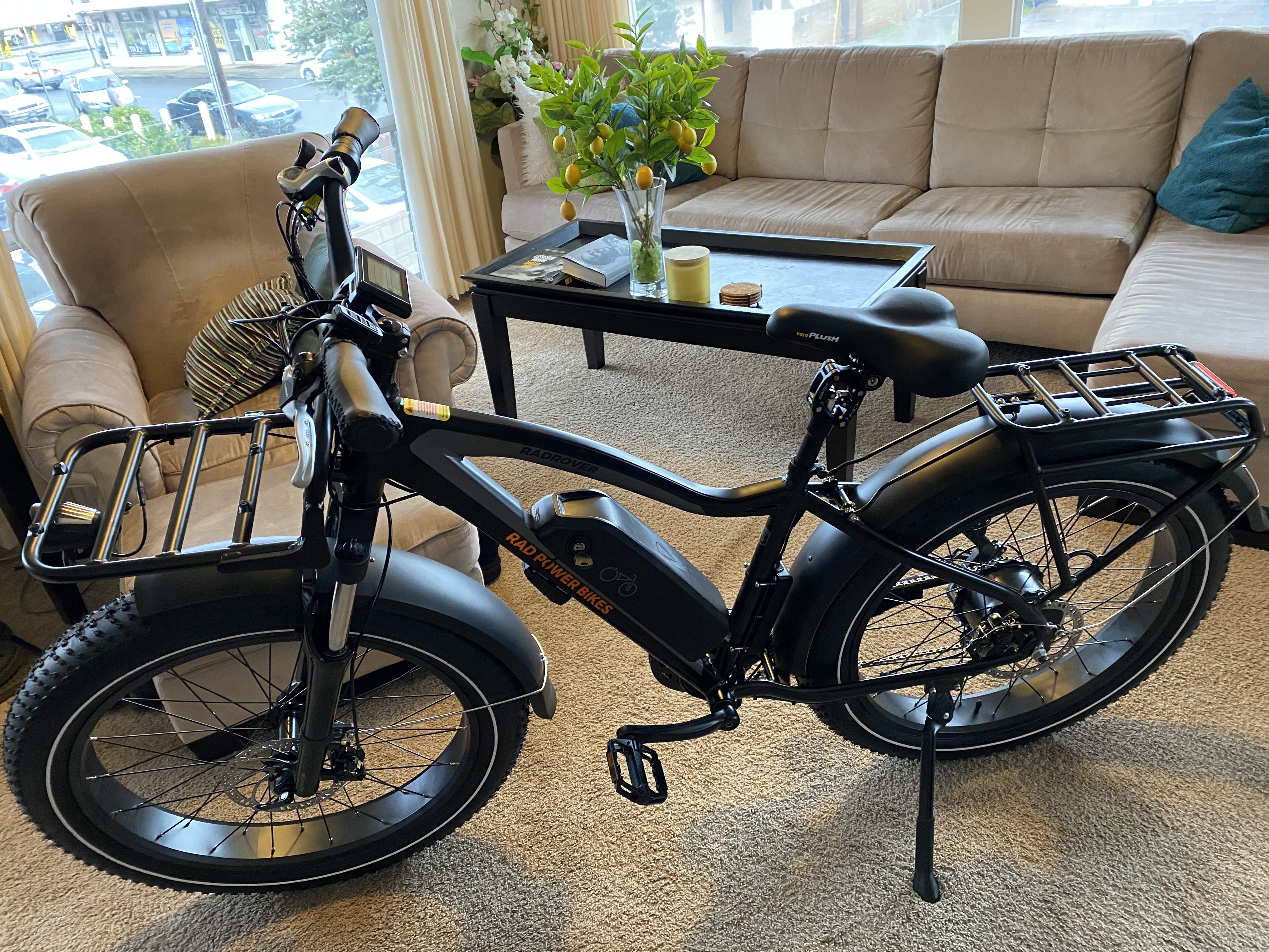 Stolen 2021 Rad Power Bikes Rad Rover 5