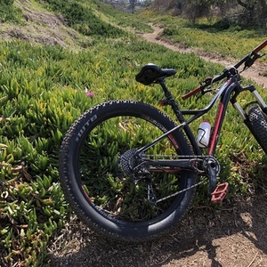 Specialized Specialized Black