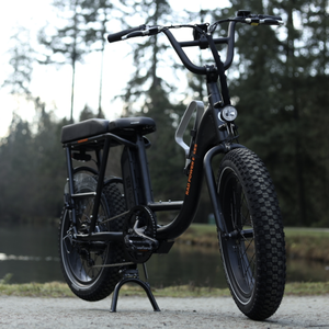 2019 Rad Power Bikes RadRunner cargo tricycle (front storage) Black
