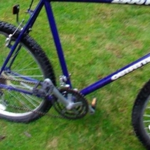 1999 mt outfitter Purple and Blue