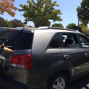 1999 mt outfitter Purple and Blue