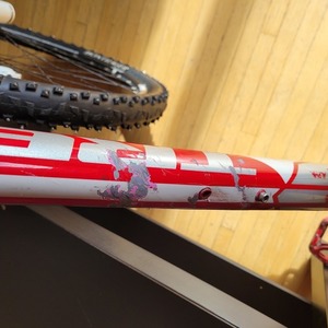 Trek Cobia Gary Fisher Red